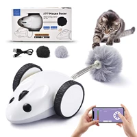smart electronic mouse cat toys interactive application remote controlled automatic usb charging electric cat feather kitten toy