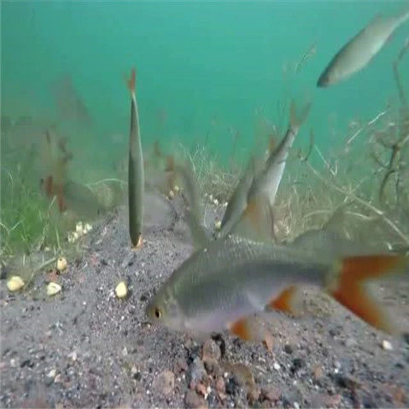 Цена Камера-эндоскоп Водонепроницаемая IP67 для подводной рыбалки, 15 м