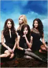 Надписью Pretty Little Liars и ТВ показать ИСКУССТВО ШЕЛК постер декоративная стена картина 24x36inch