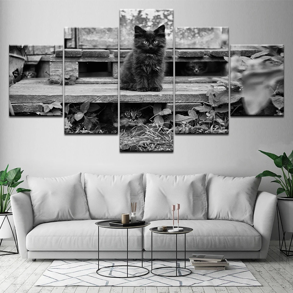 Котята животных 5 шт. HD обои граффити Печать на холсте современный плакат