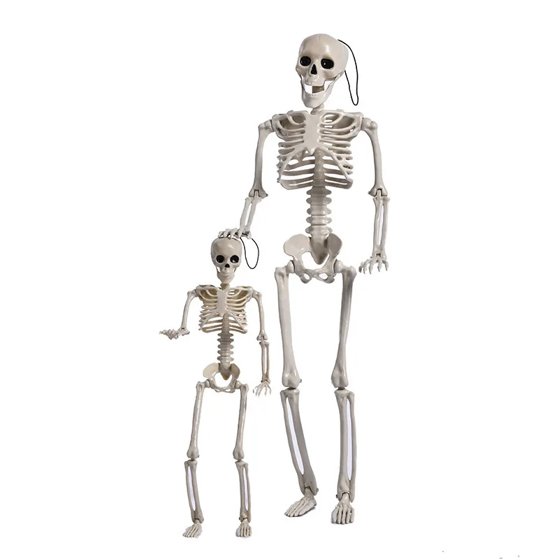 

2021 People Active Model skeleto Anatomy Skeleton Model Medical Learning Halloween Party Decoration Skeleton Art Sketch