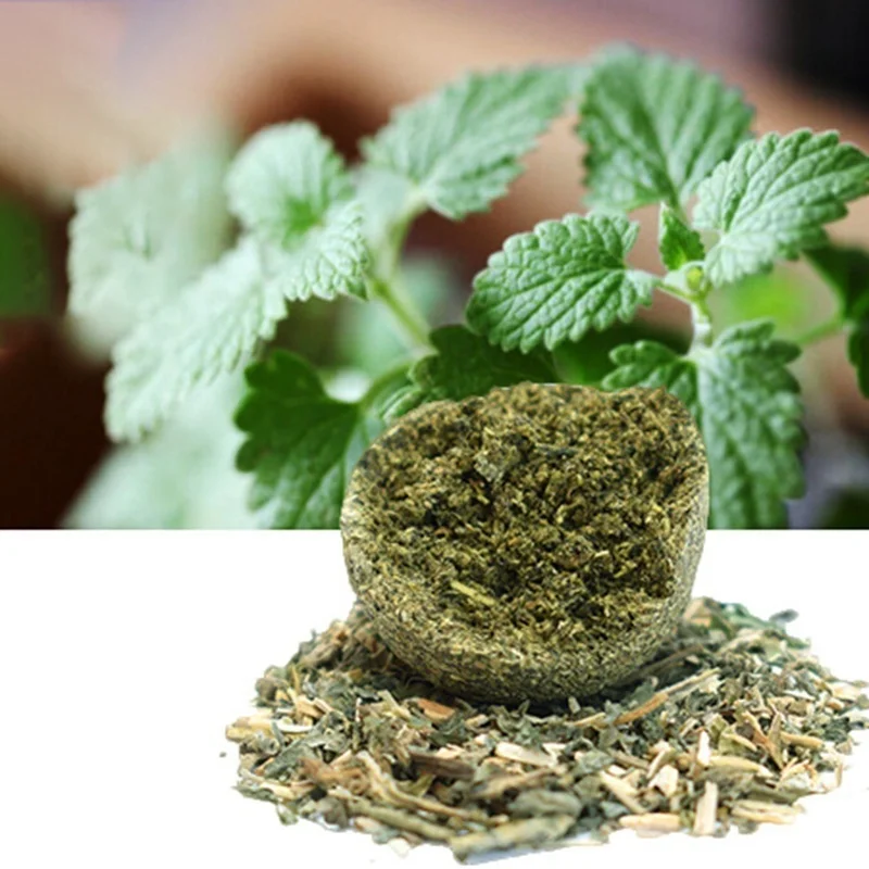 1 шт. игрушки для кошек мята мячи игр товары животных домашних корм кошек|Игрушки