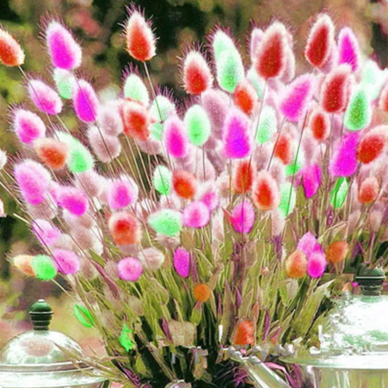 Трава с кроличьим хвостом 100 шт.|Сувениры для вечеринок| |