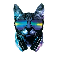 cool cat patches heat transfers stickers on clothes t shirt dresses parches sunglasses cat patch on clothes