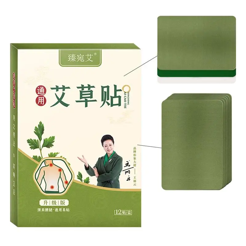 

12pcs Warm Moxibustion Paste Hot Pain Relief Pads Useful Mugwort Sticker for Knee Moxibustion Stick for Vertebra