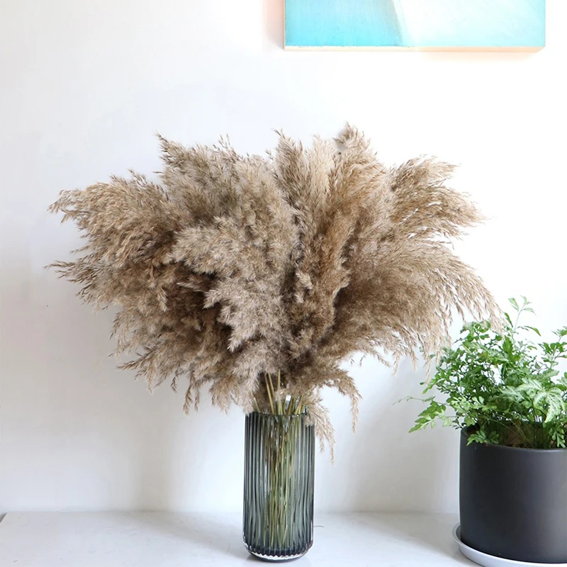 

5/10Pcs/Bunch 30/80cm Natural Phragmites&Reed Flowers&Bulrush Bouquet Big Dried Pampas Grass Wedding Decoration Home Fall Decor