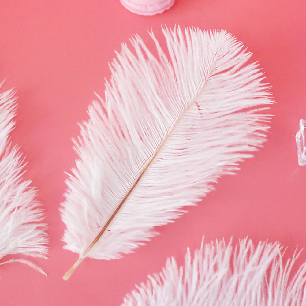 

10pcs 6"-8" Natural White Ostrich Feathers Elegant Feathers for Wedding Party Decorations Carnival Costumes Plumes