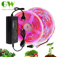 plant grow lights 5m waterproof full spectrum phytolamp led strip lamp for plants flowers phyto lamp for greenhouse hydroponic