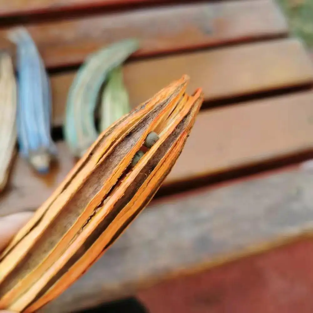 Искусственные сушеные свежие консервированные цветы ГОМБО окра искусственные