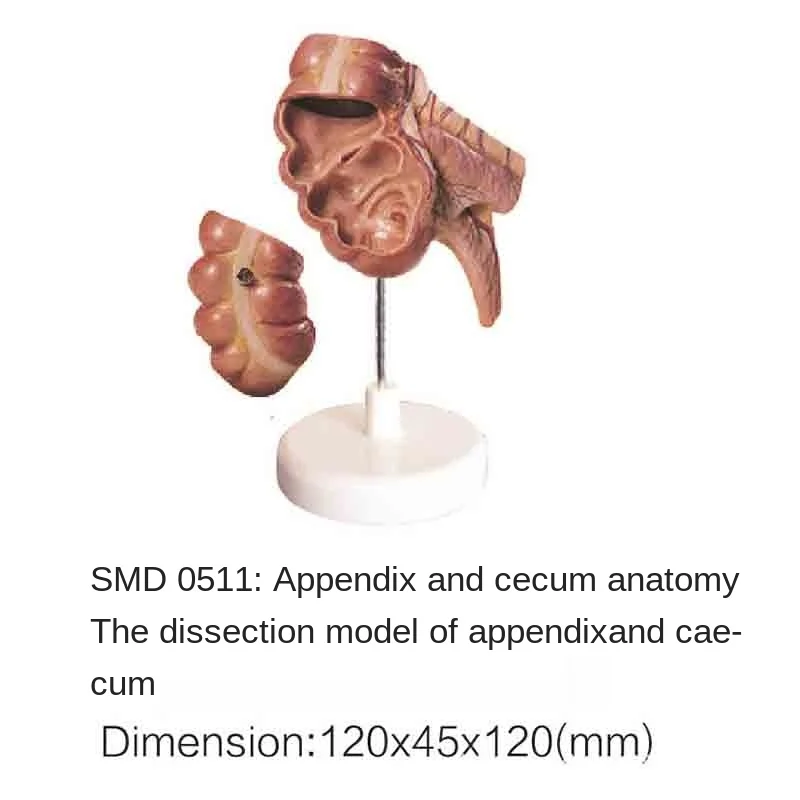 

Приложение SMD0511 и Анатомия потайного кишечника