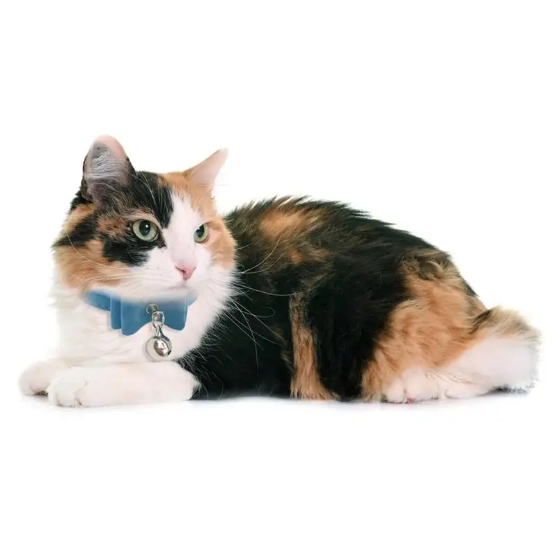 

Fashion Collar For Cats Dogs Adjustable Bow-Knot Cat Collars With Bells Outdoor Travel Anti-Lost Kitten Collars Cats Accessories