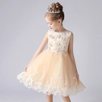 girls dresses costumes wedding party clothes flower casual gown princess summer kids frock dress children elegant dress