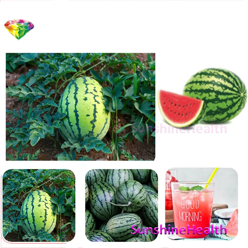 

Watermelon juice powderFree Shipping