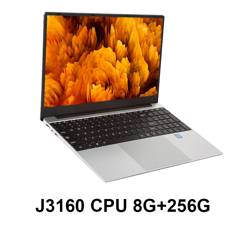 J3160/Core i3 ноутбук 15,6 дюймов с 8G ram 1 ТБ HDD Игровые ноутбуки компьютер с подсветкой Клавиатура ips дисплей ноутбук Win10 OS - Цвет: j3160-8G RAM-256G