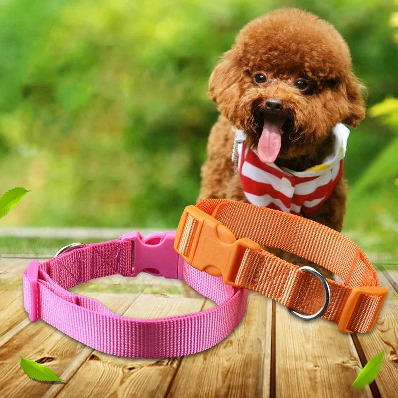 Прочный ошейник для собак кошек чихуахуа йоркширского пуделя померанского