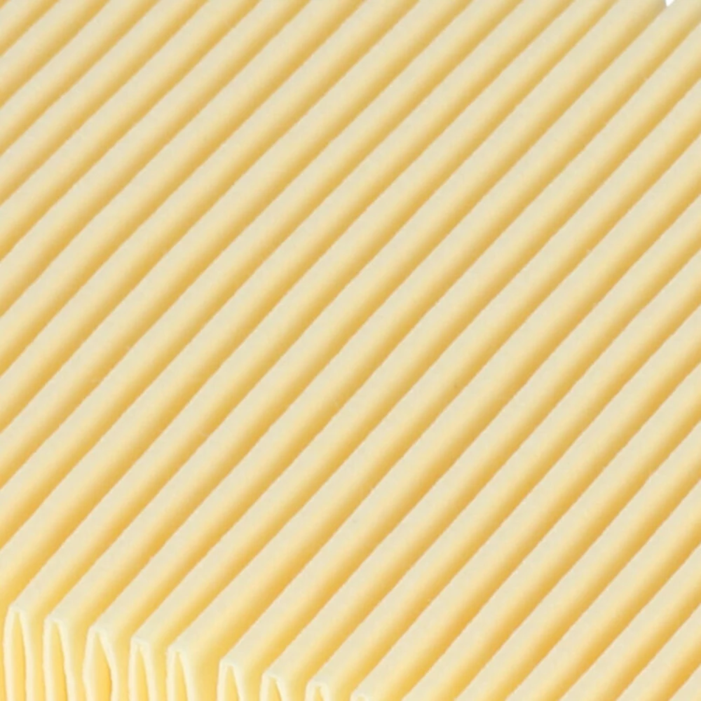 

Rubber Filters 100 * 160 MM 2PCS Vacuum Cleaner MV4 MV5 MV6 WD4 WD5 WD6