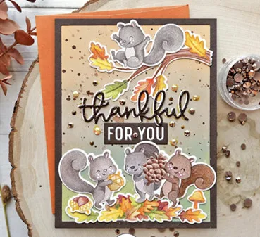 ТПП Урожай маленькой белки прозрачные резиновые штампы/Детские штампы и для