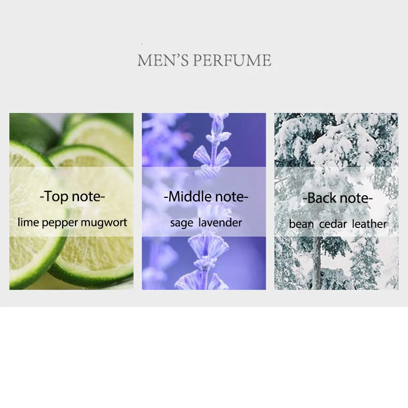 Мужские духи с феромонами оригинальные мужские для мужчин дезодорант спрей тела