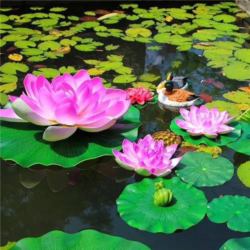 Selling! 5Pcs Red beautiful water lily bonsai hydroponics plant aquatic flower pot lotus garden |