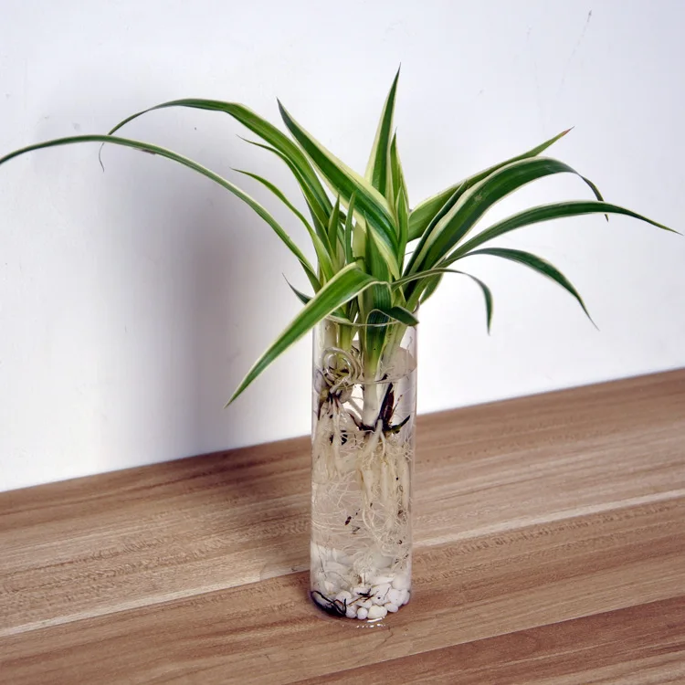 1 шт. стеклянный цветочный горшок для дома цилиндрический настенный мини ваза