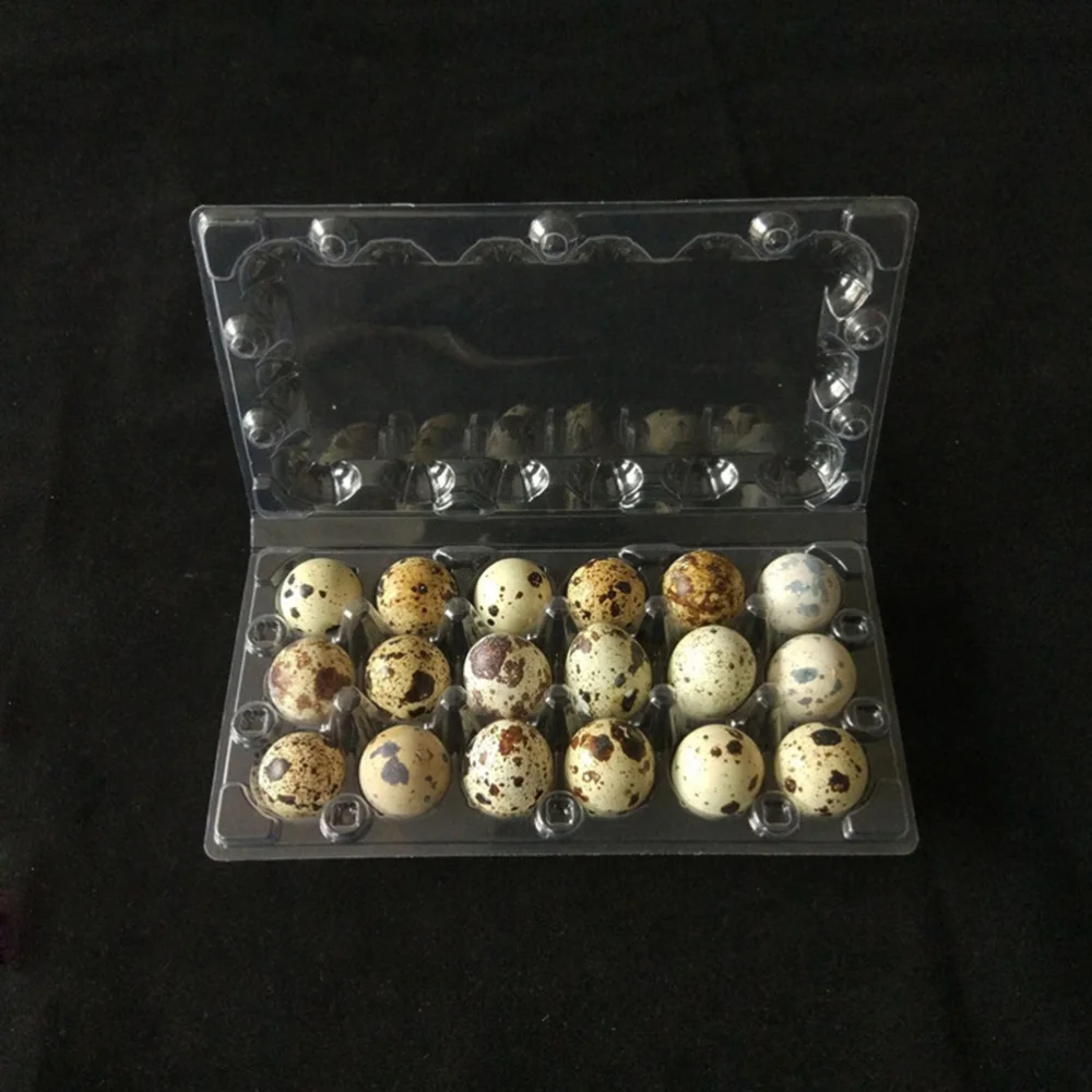 

50 Pcs 19.8x10.2x3.9cm 18 Grids Quail Egg Storage Box Transparent Egg Dispenser Holder Case Refrigerator Egg Protection