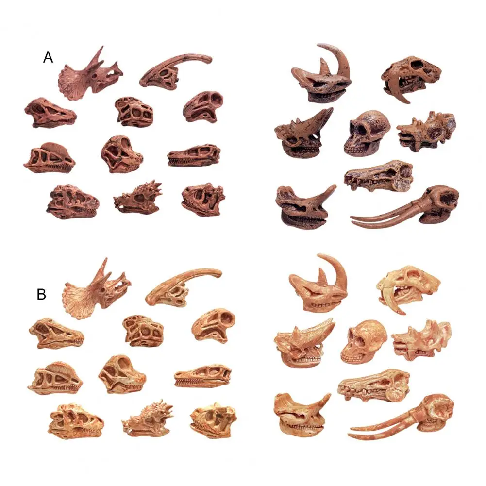 

Dinosaur Skull High Simulation Aquarium Decor Plastic Fossil Teaching Skeleton Model for Collectors Kid Adult Model Toy