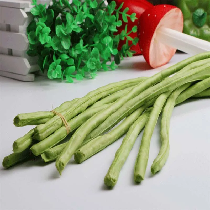 

Early Education Props Decoration Artificial Simulation Vegetables Long Bean Fake Bean Photography Props 30 Y