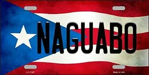 

ZMKDLL Metal Tin Sign Wall Hanging Decoration Plaque Sign License Plate Tag, Naguabo Puerto Rico State Flag Background Novelty