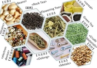 RiceGrainsPowder Filling Packing Machine Manufacturer with Best Price