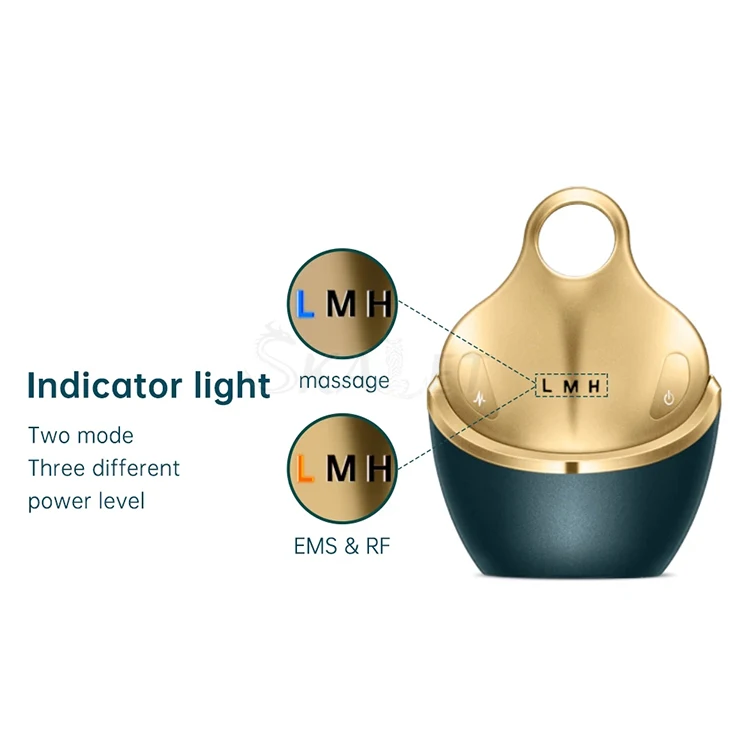 

EMS Muscle Stimulation Skin Firming Radio Frequency LED Light Wrinkle Removal Facial Rotating Massager
