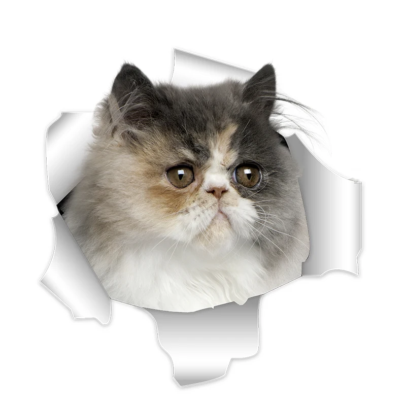 

3d-наклейки Three Ratels в виде кота терьера в стиле Стаффорда, наклейка на стену, искусственная кожа, автомобиль, велосипед