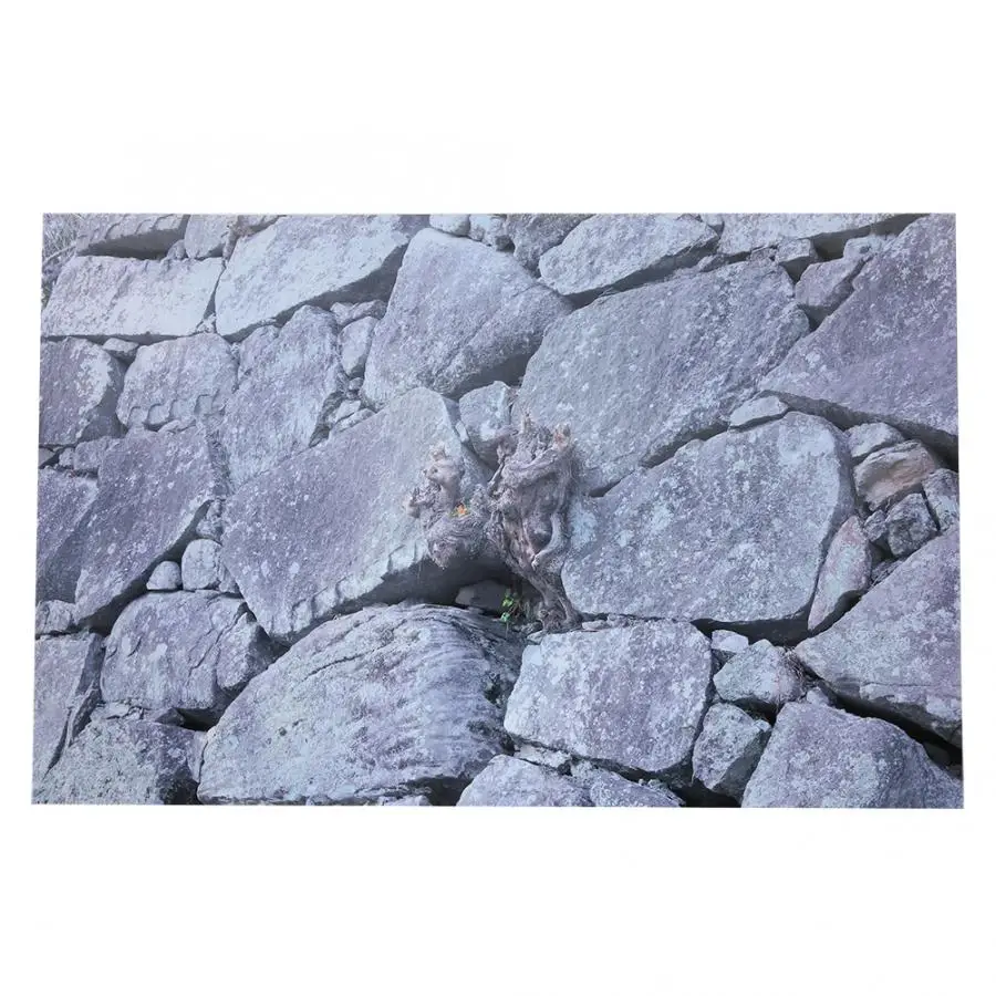 ПВХ аквариумный фон Плакат двусторонний настенный ласками декоративная