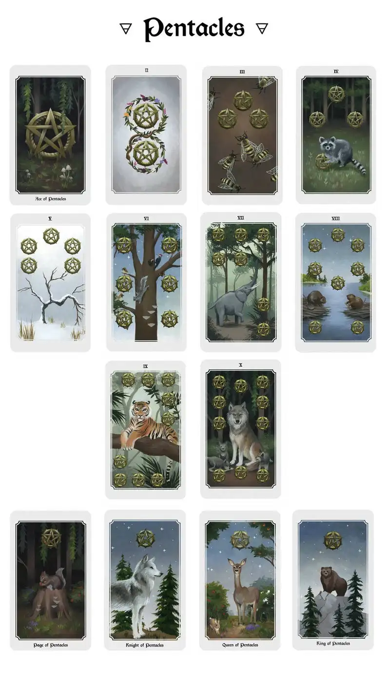 Таро-колода Anima Mundi 78 карт колода с инструкцией природы карты для гадания
