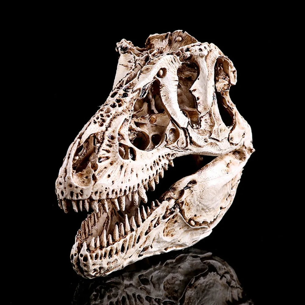 

Resin Dinosaur Tooth Skull Teaching Skeleton Model Home Office Decoration Tyrannosauru Rex Educational Science Toy New Year Gift