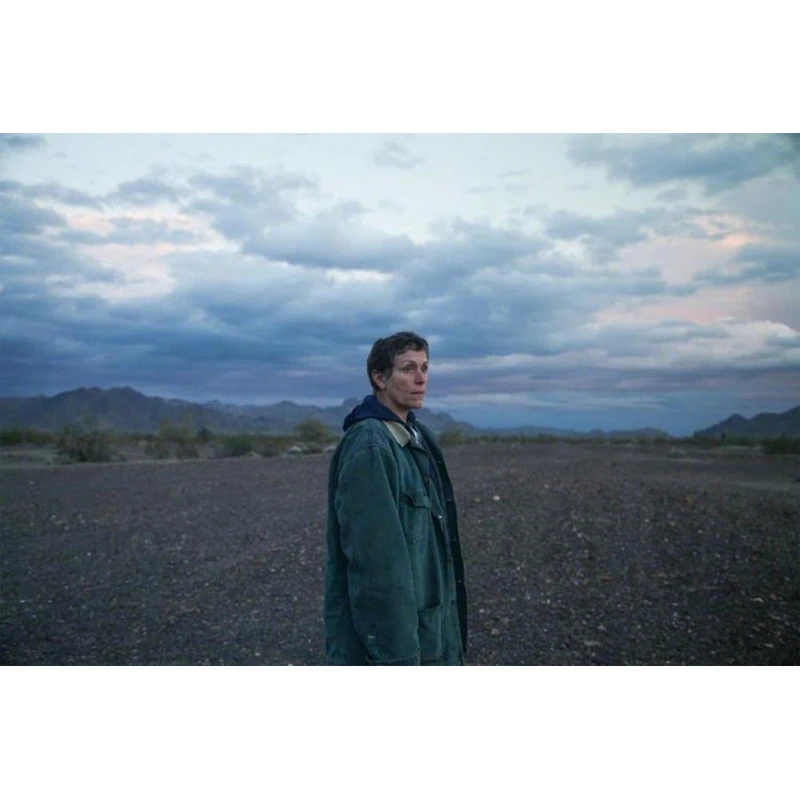 D0907 Nomadland кино шелковая ткань плакат искусство Декор внутренняя Окраска Подарок