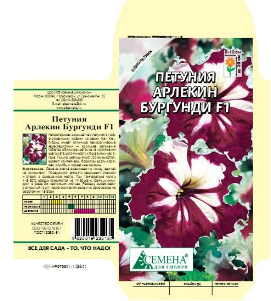 Петуния Арлекин Бургунди F1 10сем СДС | Дом и сад