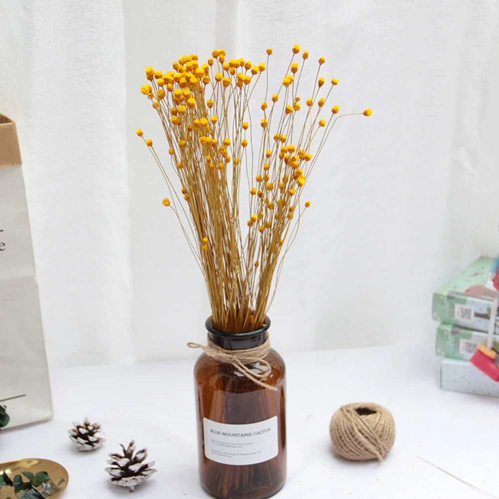 

50pcs Natural Simulation Flowers Imported Ins Dried Flower Bouquet Real Happy Flower Shooting Props Sticky Material Decorative