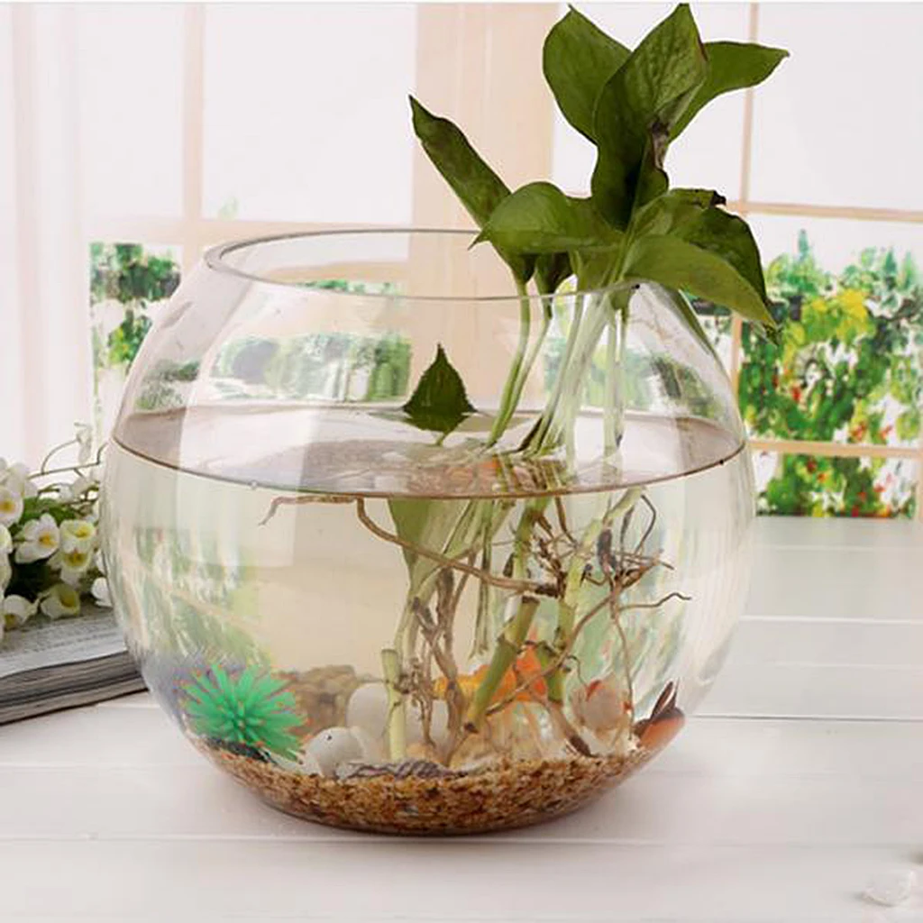 Transparent Crystal Glass Bowl Clear Sphere Vase Fish Tank Jar Table Decor