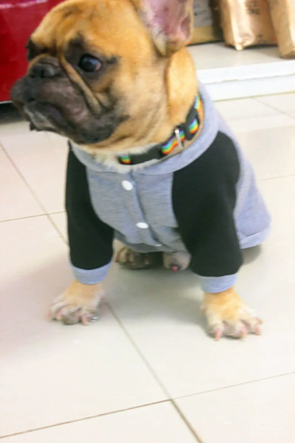 Свитер для собаки одежда питомца собак пальто куртка пух Ropa Perro французский