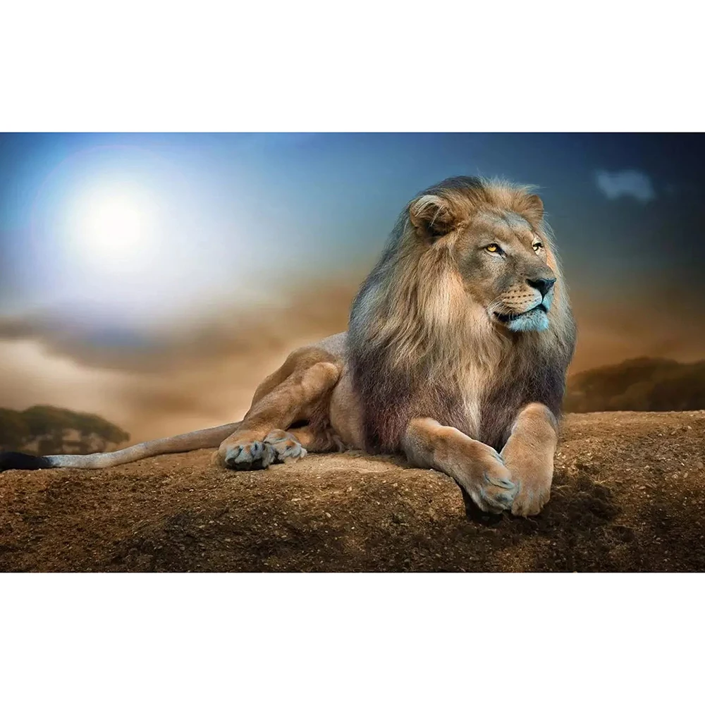 

DIY 5D full diamond painting cross stitch "Lion under the moon" mosaic diamond embroidery sewing pattern rhinestone