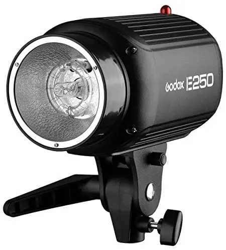 

GODOX E250 Mini Photography Studio Strobe Flash Lighting Lamp Head, 250Ws Power, 5600K Color Temperature, 110V