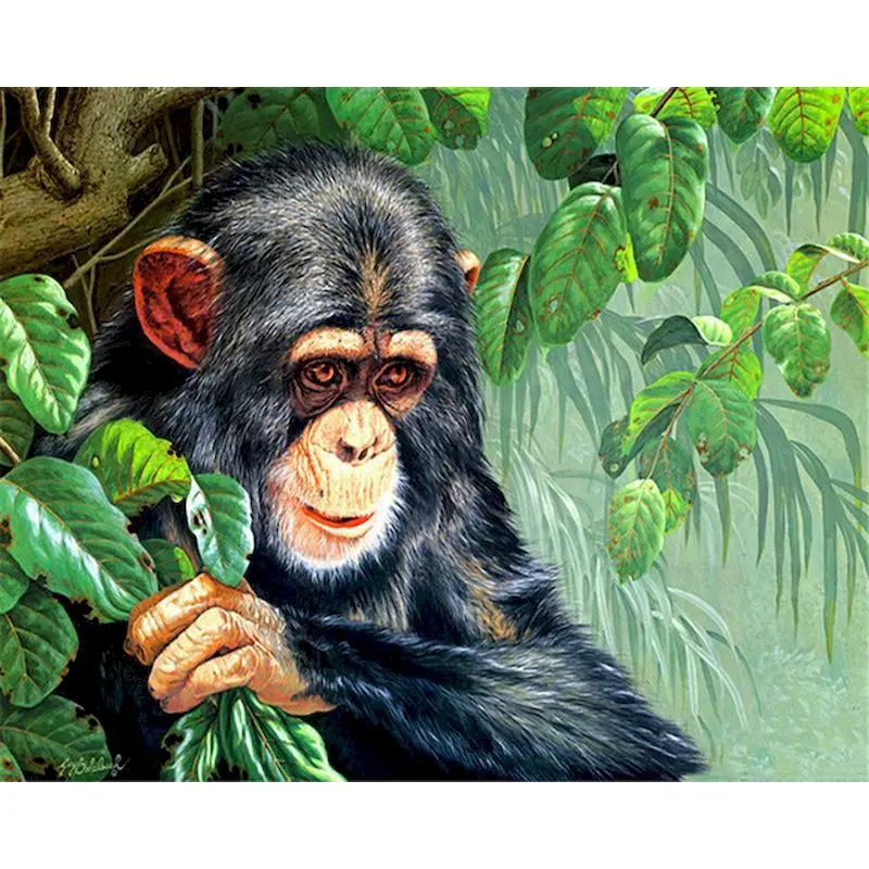 

Animal Oil Painting By Numbers Monkey For Adult Acrylic Paints By Number Canvas Modern Painting DIY Gift Decoration Kit Pictures