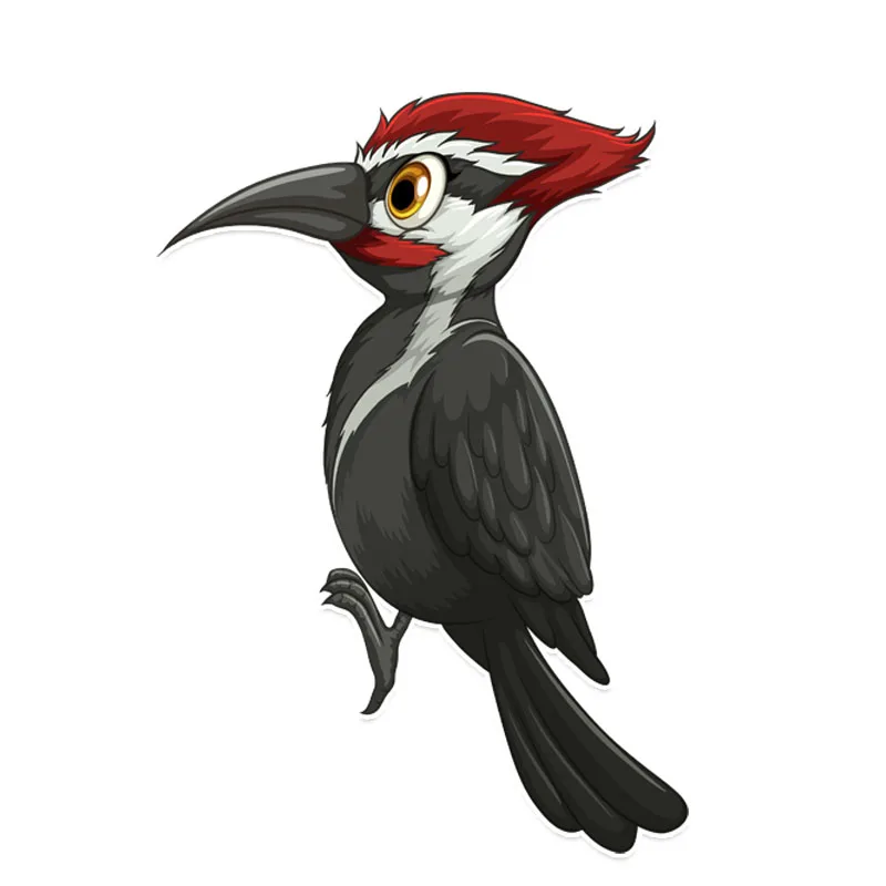 Самые крутые декоративные наклейки с рисунками дятел автомобильные цветные