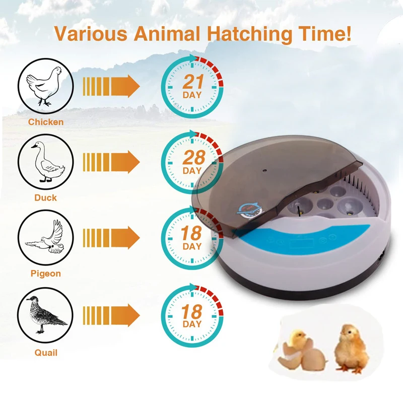 9 Eggs Incubator Digital Mini Automatic Egg Hatcher Machine with Turner for Hatching Pigeon Turkey Goose Quail Chicken | Дом и сад