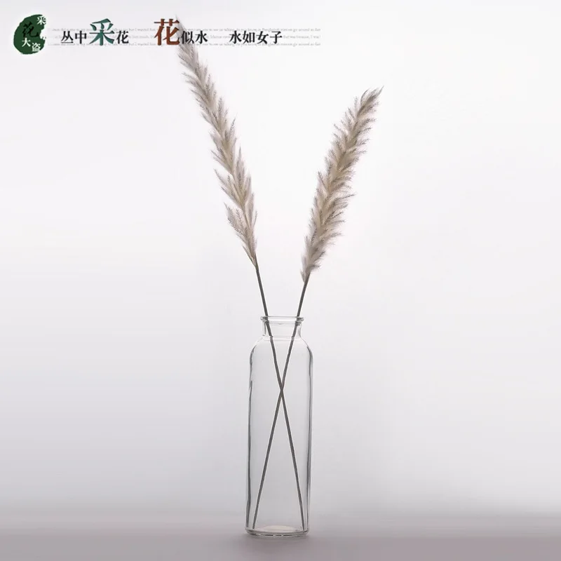 20 шт. Bulrush Натуральные Сушеные маленькие пампасы травяные фрагмиты растения