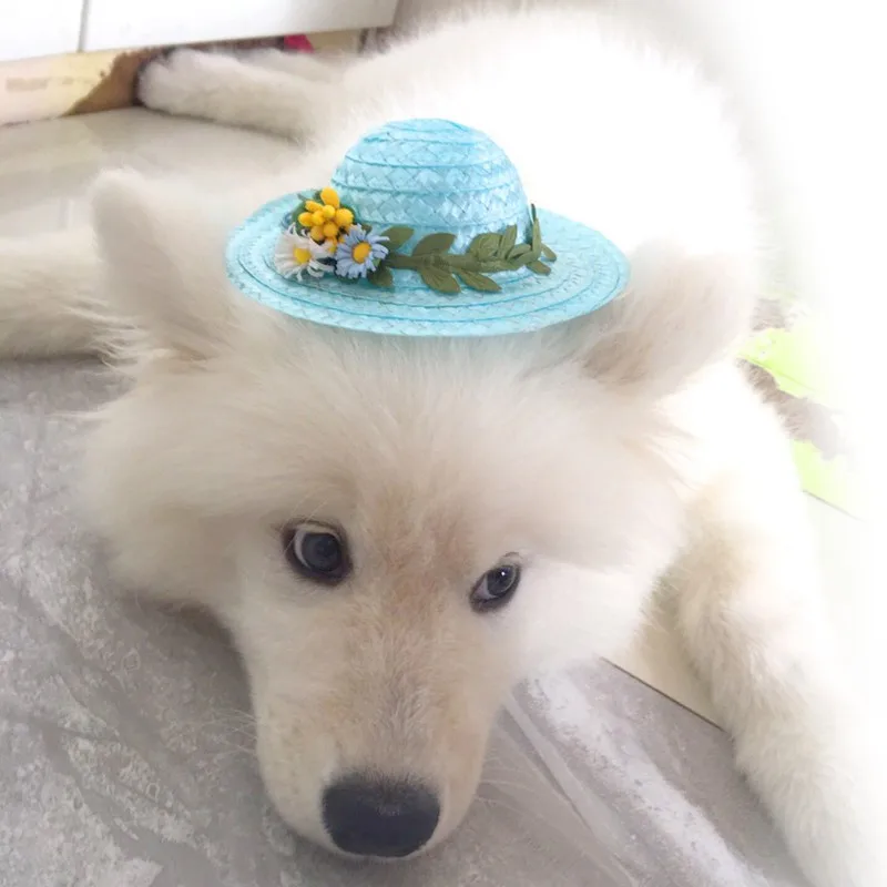 Соломенная шляпа для домашних животных плетеная от солнца в стиле ПЭТ кошек