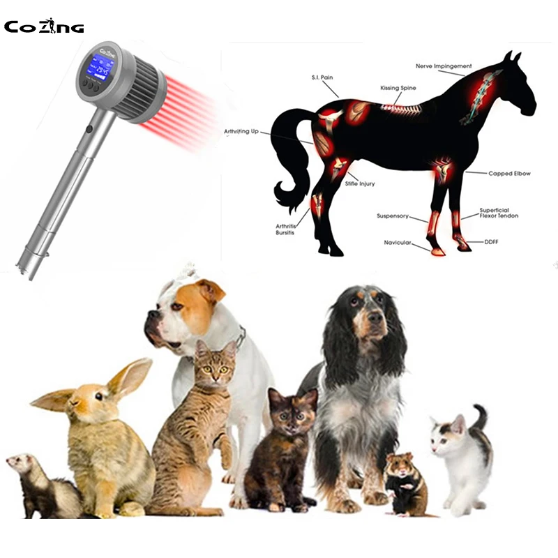 

Veterinary Laser Therapy Certification Cold Laser Therapy Device For Human Animal Sprain Anti-Inflammatory Treatment