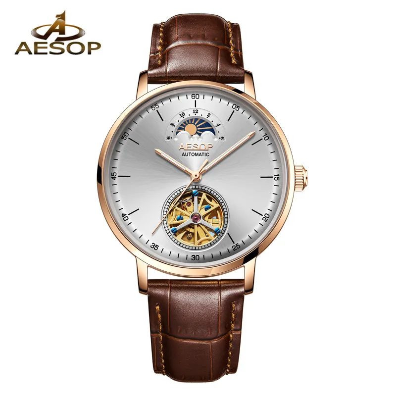 AESOP Brand Fashion Watch Man Waterproof Business Moon Phase Mechanical Wristwatch Hollow Automatic Clock 2021 Relogio Masculino
