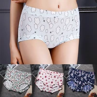 9 colors hot sale new ice silk one piece print high waist large size mesh sexy ladies underwear small floral student cute briefs
