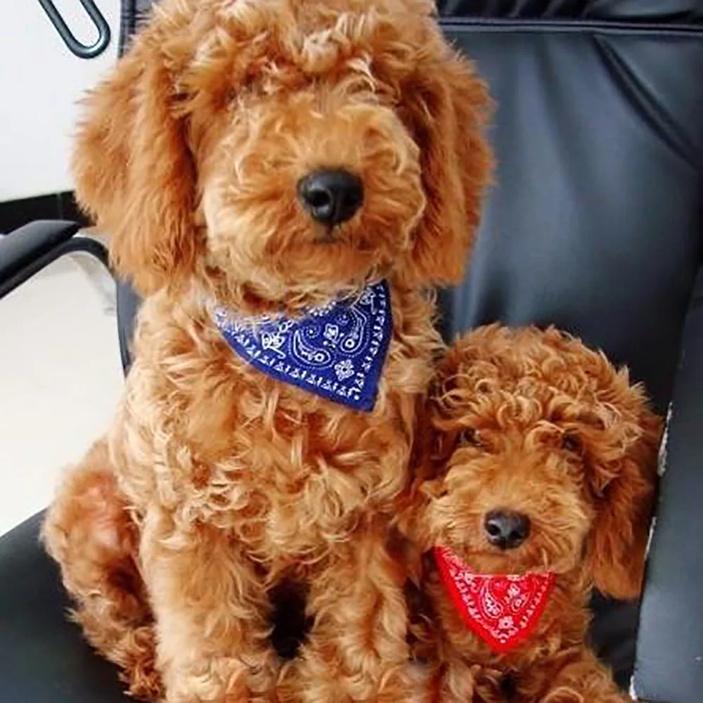 Шарф для домашних животных милый ошейник Регулируемый собаки синий